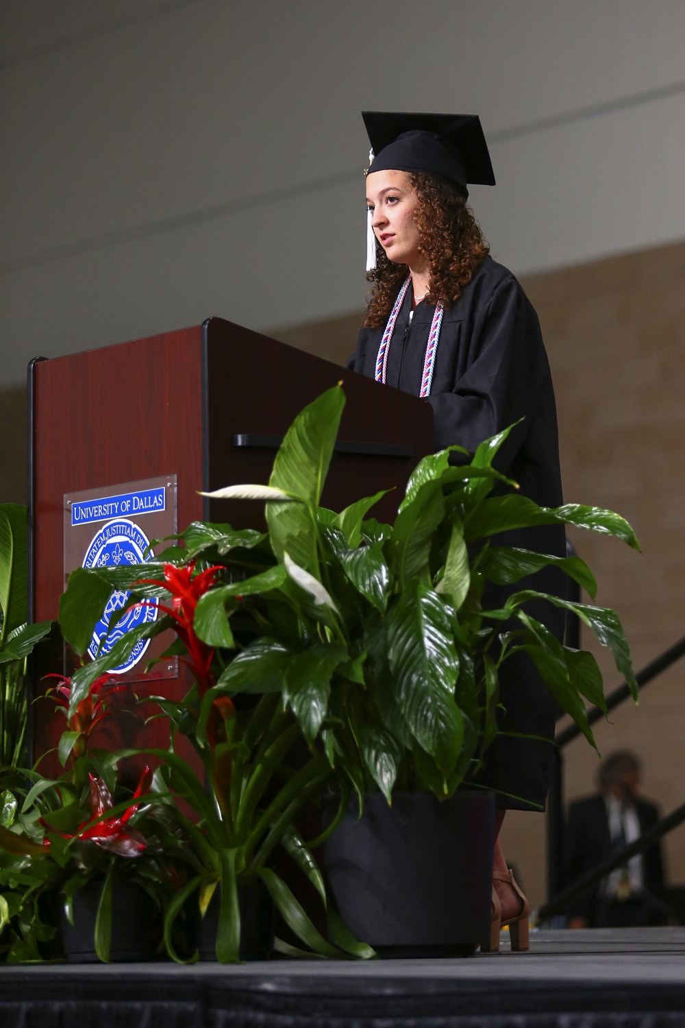UDallas Catherine